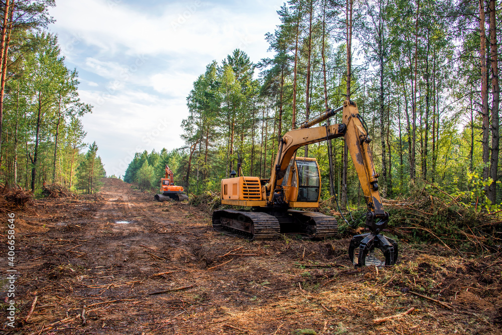 Enhancing Property Value with Professional Land Clearing Services