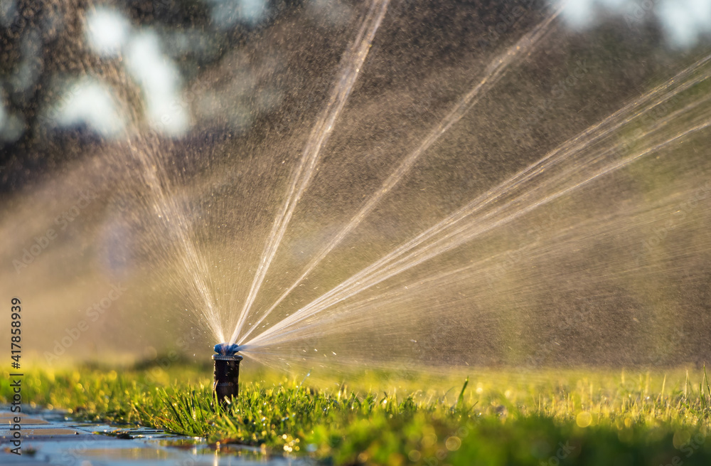 Ensuring Efficient Irrigation Systems with Palesch Construction